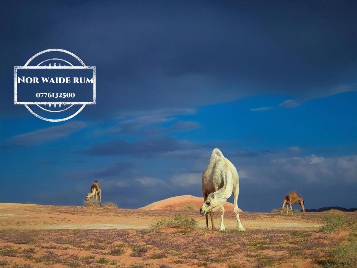 Nor Wadi Rum Eksteriør bilde