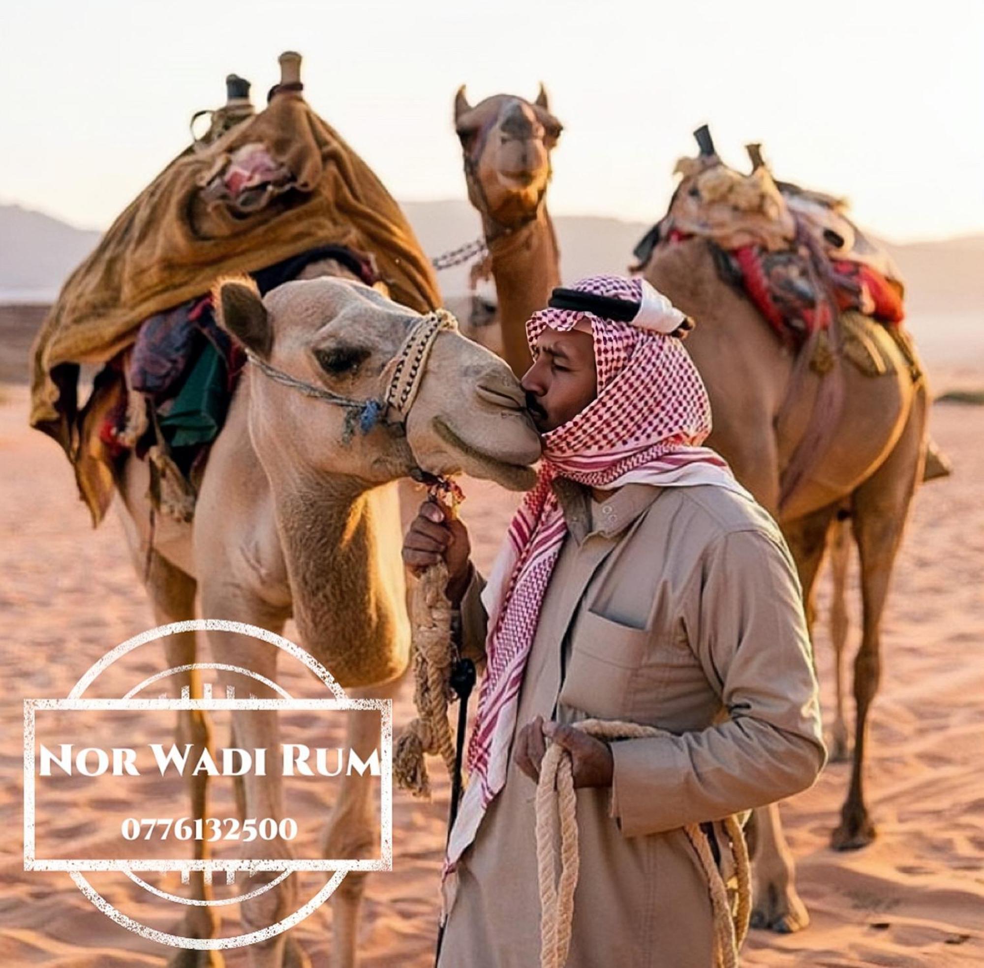 Nor Wadi Rum Eksteriør bilde